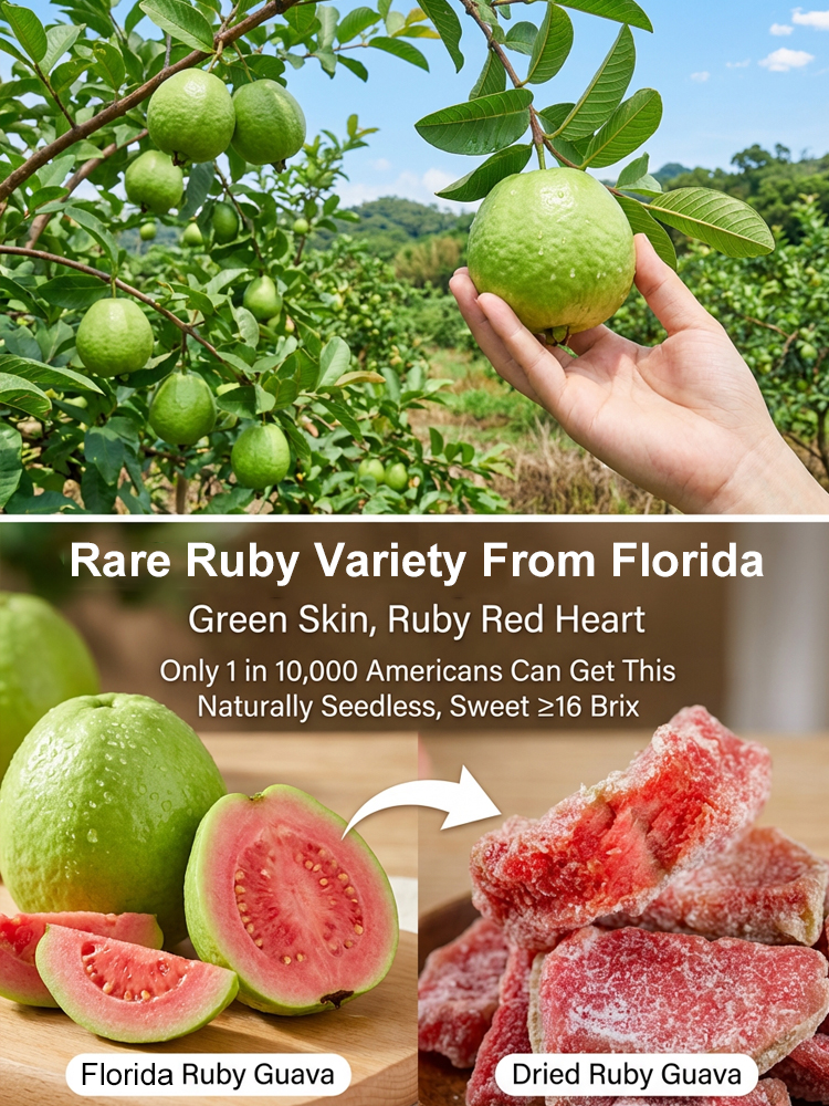 Florida Ruby Guava Dried Fruit – Rare Harvest Anti-Aging Snack (3X Selenium & 8g Fiber) – FINAL WAREHOUSE CLEARANCE