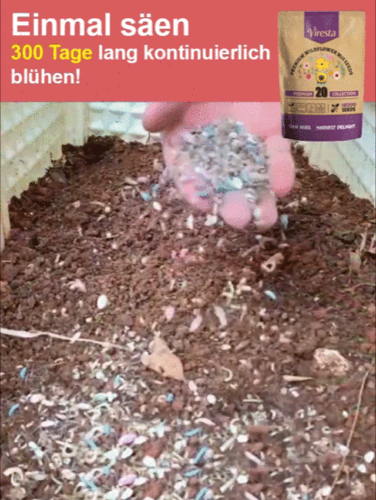Über 240.000 Kunden vertrauen darauf • Einfach zu züchtende gemischte Blumensamen