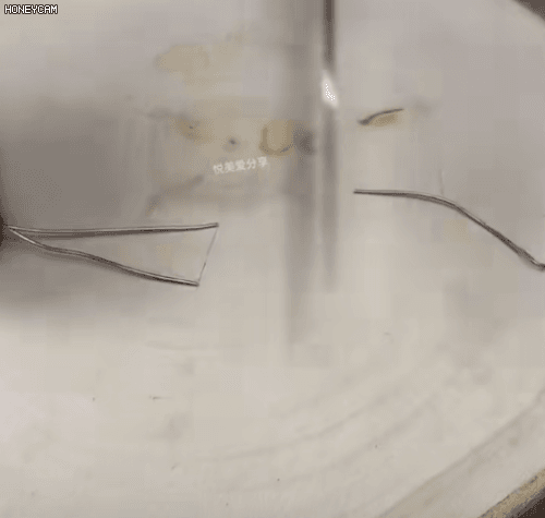 Honeycam 2025-11-06 14-34-04.gif