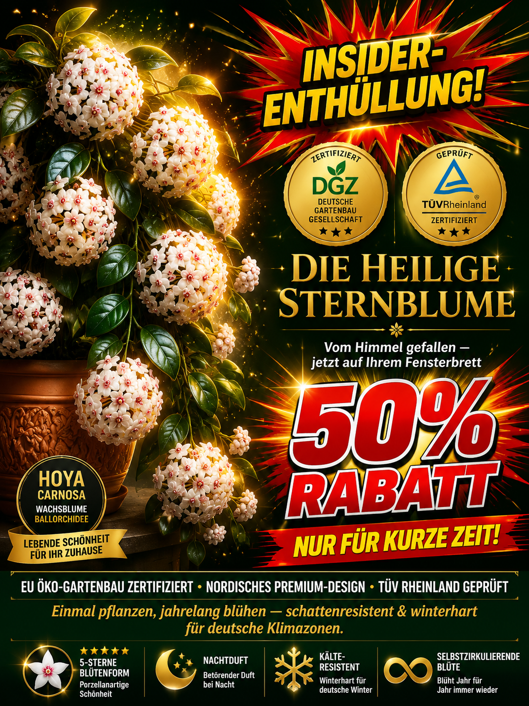 ✨Hoya-Zwiebeln-GANZJÄHRIG BLÜHEND EINMAL PFLANZEN, FÜR IMMER GENIESSEN