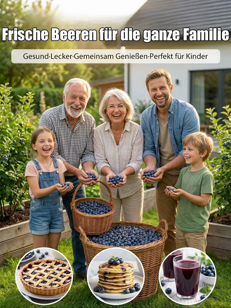 XXL Riesen-Heidelbeere  – 100% Bio, Winterhart & Sofort fruchttragend! Bis zu10kg Ernte schon im Juni!