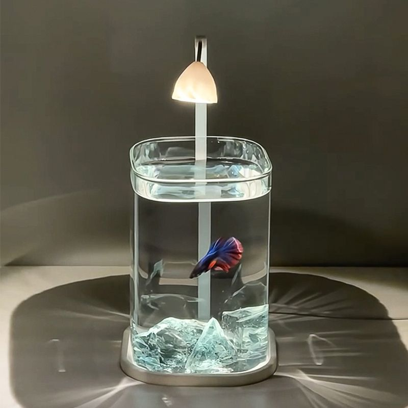 Kreative Tischlampe Fischtank kleines ökologisches Desktop-Aquarium mit Licht zum Betrachten von Kampffischtanks