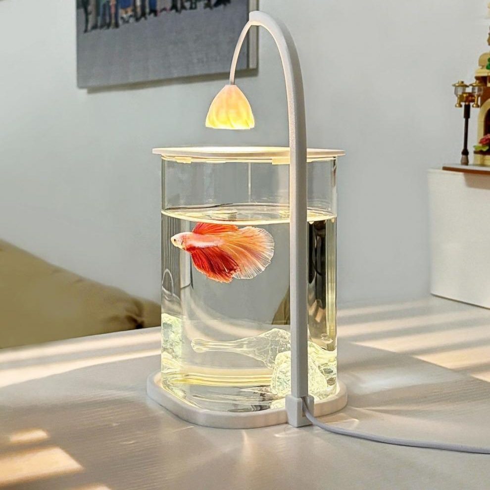 Kreative Tischlampe Fischtank kleines ökologisches Desktop-Aquarium mit Licht zum Betrachten von Kampffischtanks