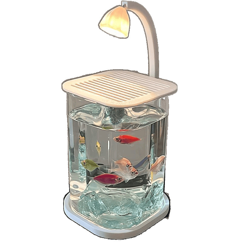 Kreative Tischlampe Fischtank kleines ökologisches Desktop-Aquarium mit Licht zum Betrachten von Kampffischtanks
