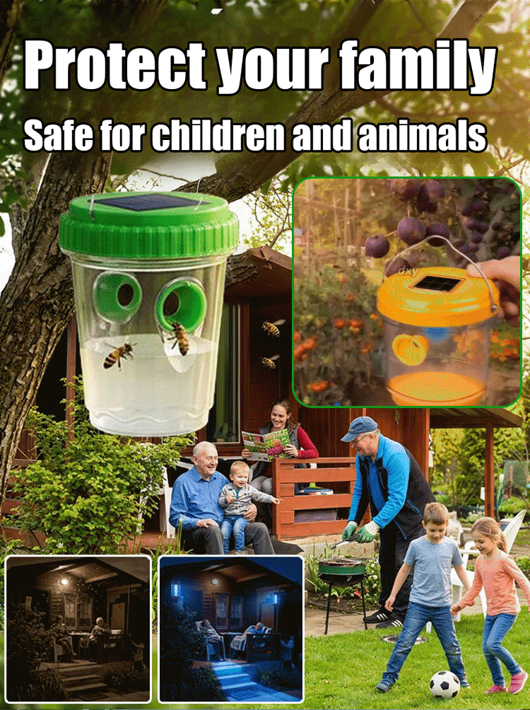 Quantum-Level Solar Multidimensional Insect Trap