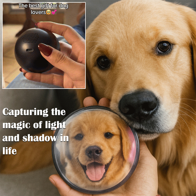 Personalized video crystal ball