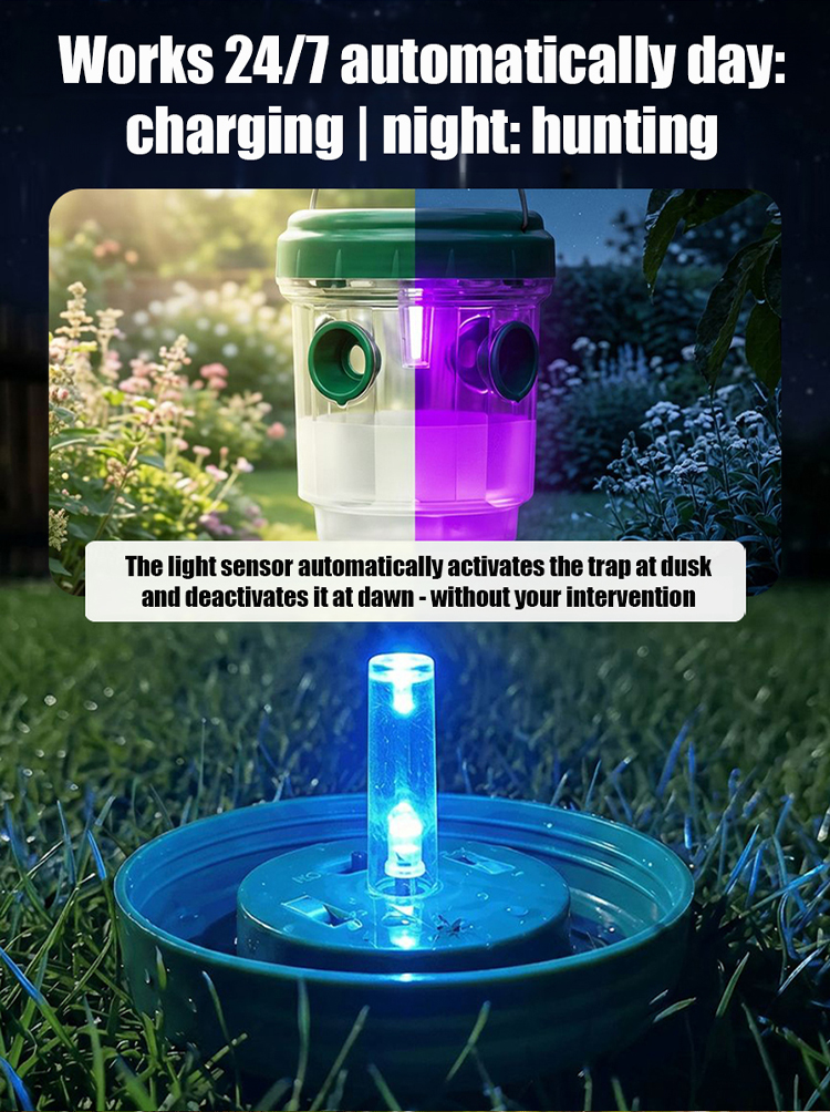 Quantum-Level Solar Multidimensional Insect Trap