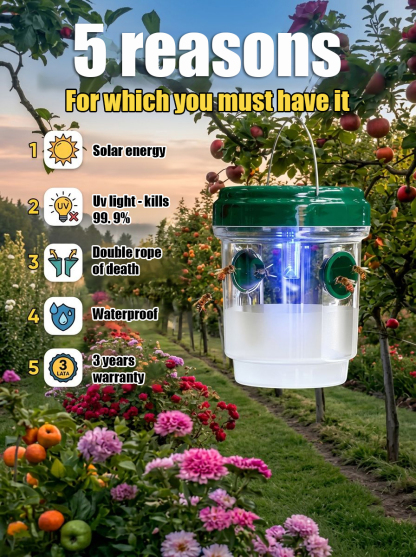 Quantum-Level Solar Multidimensional Insect Trap