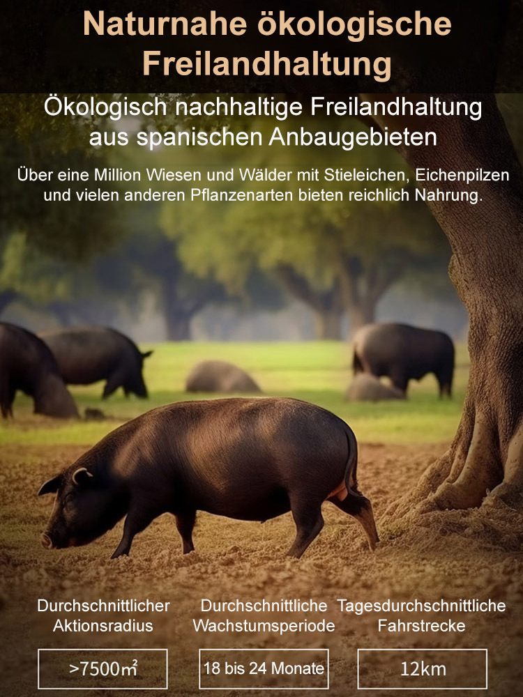 Iberischer Schinken in Scheiben