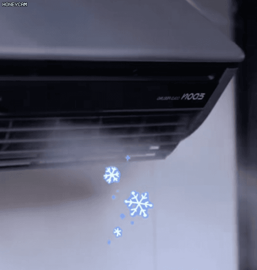 Honeycam 2026-06-08 14-33-26.gif