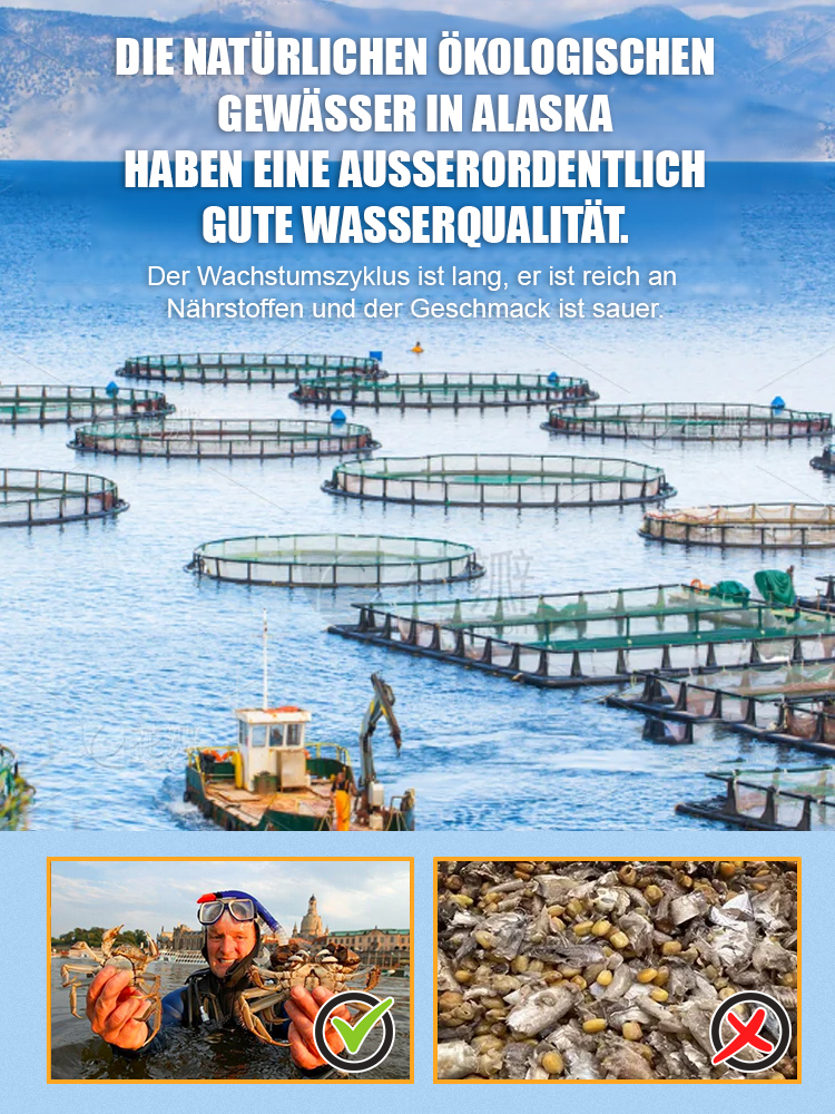 Weltbewegender Snack – keine Chips, keine Nüsse – ganze, knusprige kleine Krebse. Explosiver Geschmack.