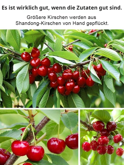 🍒 Must-Have ab 30! Chileische Trockenkirschen | 50% RABATT FLASH SALE