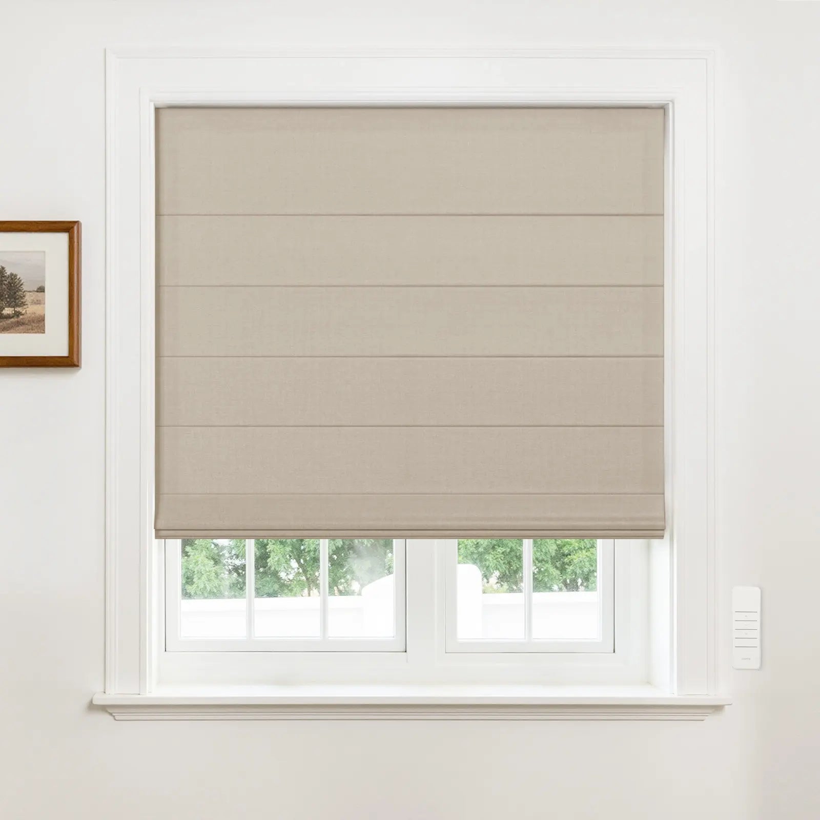 Alvin Motorized Blackout Boutique Roller Shade -TWOPAGES