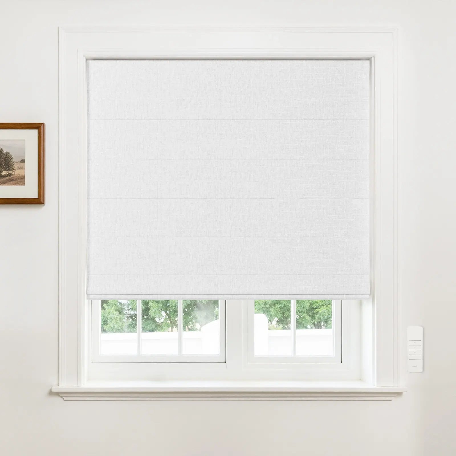 Alvin Motorized Blackout Boutique Roller Shade -TWOPAGES