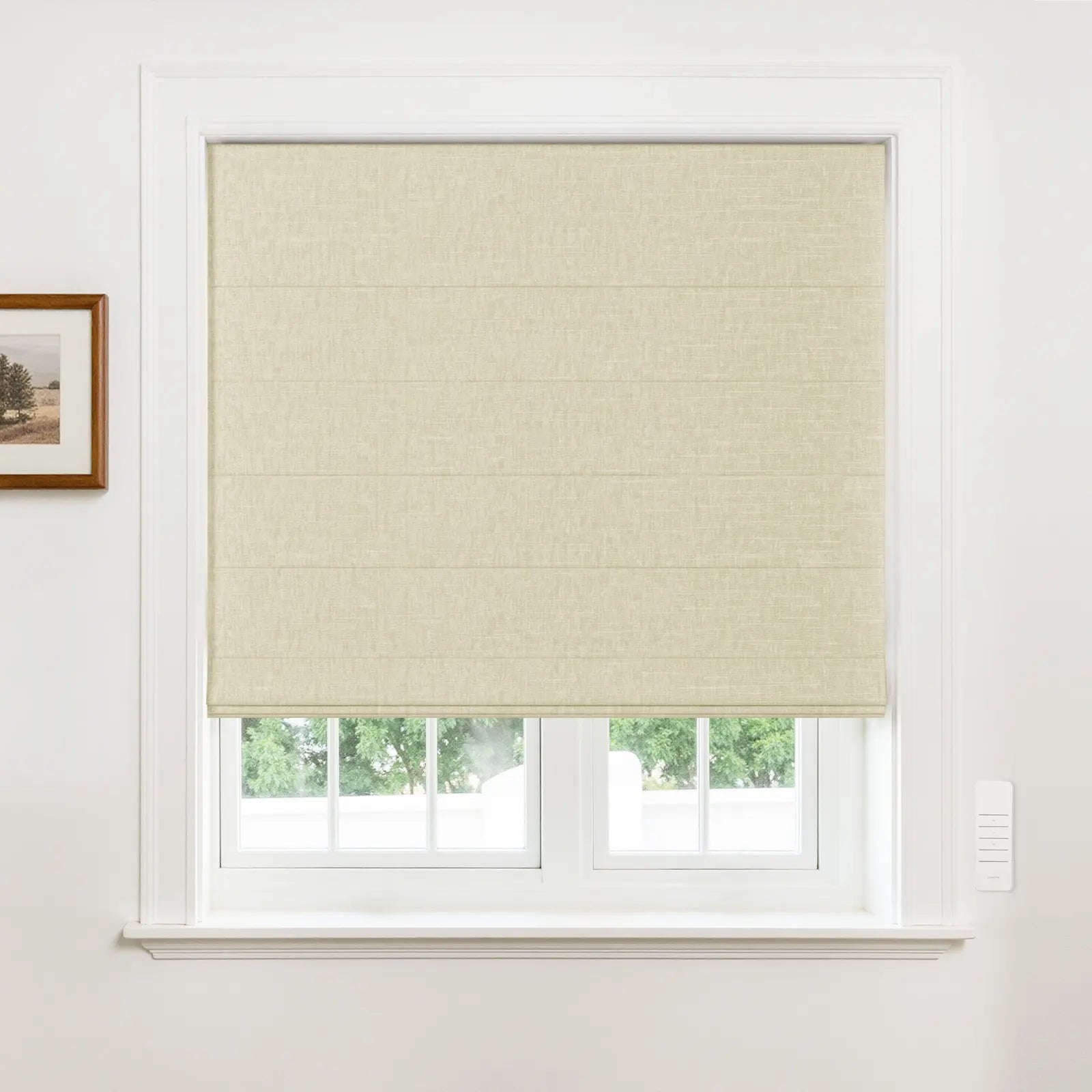 Alvin Motorized Blackout Boutique Roller Shade -TWOPAGES