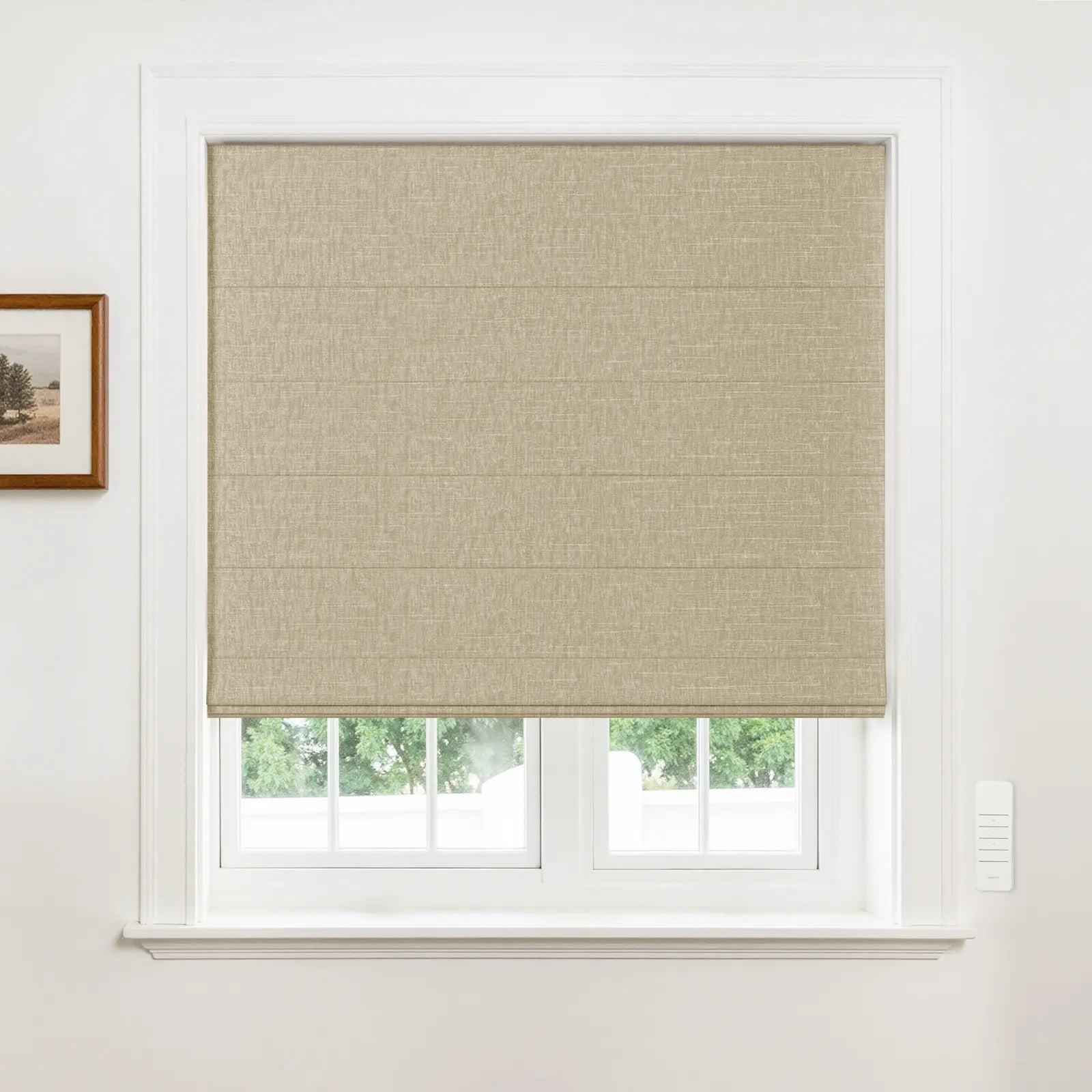 Alvin Motorized Blackout Boutique Roller Shade -TWOPAGES