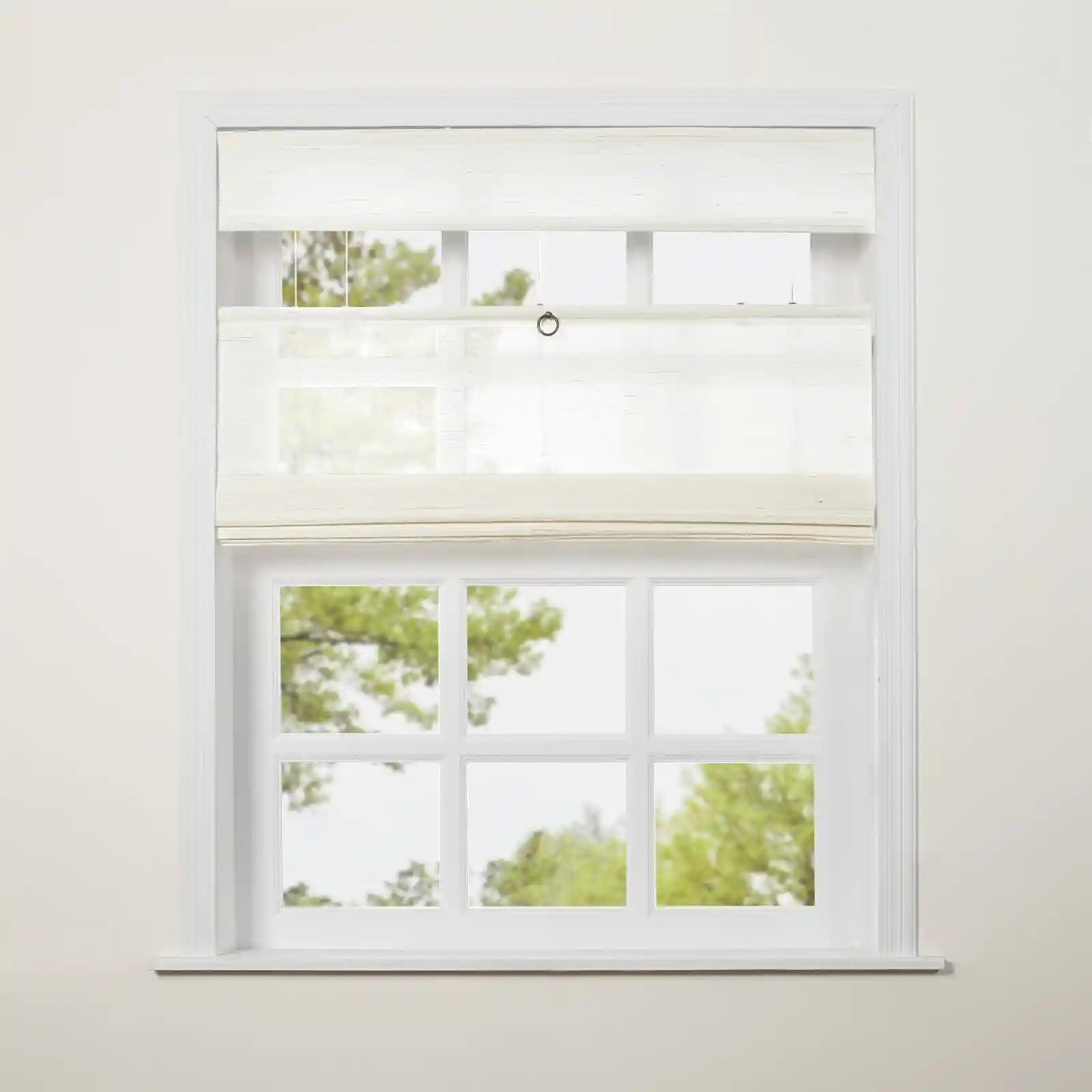 Rae Top Down Bottom Up Woven Wood Shade Cordless - Series D -TWOPAGES