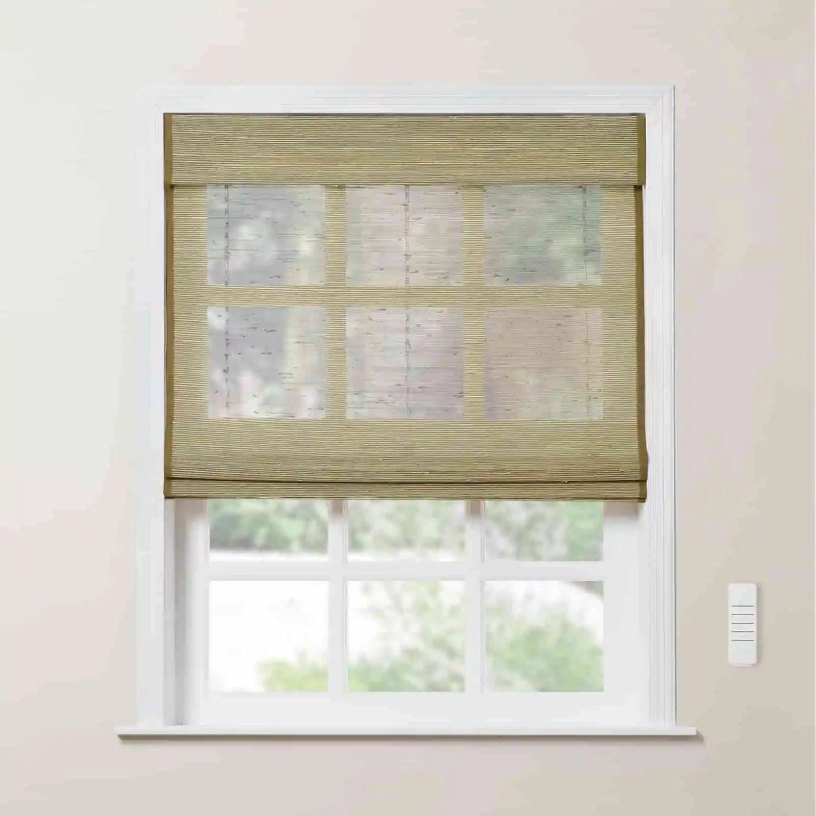 Rae Motorized Window Shades Bamboo Woven - Series P-TWOPAGES