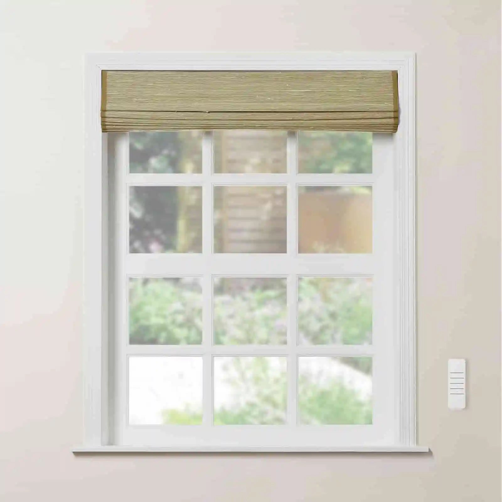 Rae Motorized Window Shades Bamboo Woven - Series P - TWOPAGES