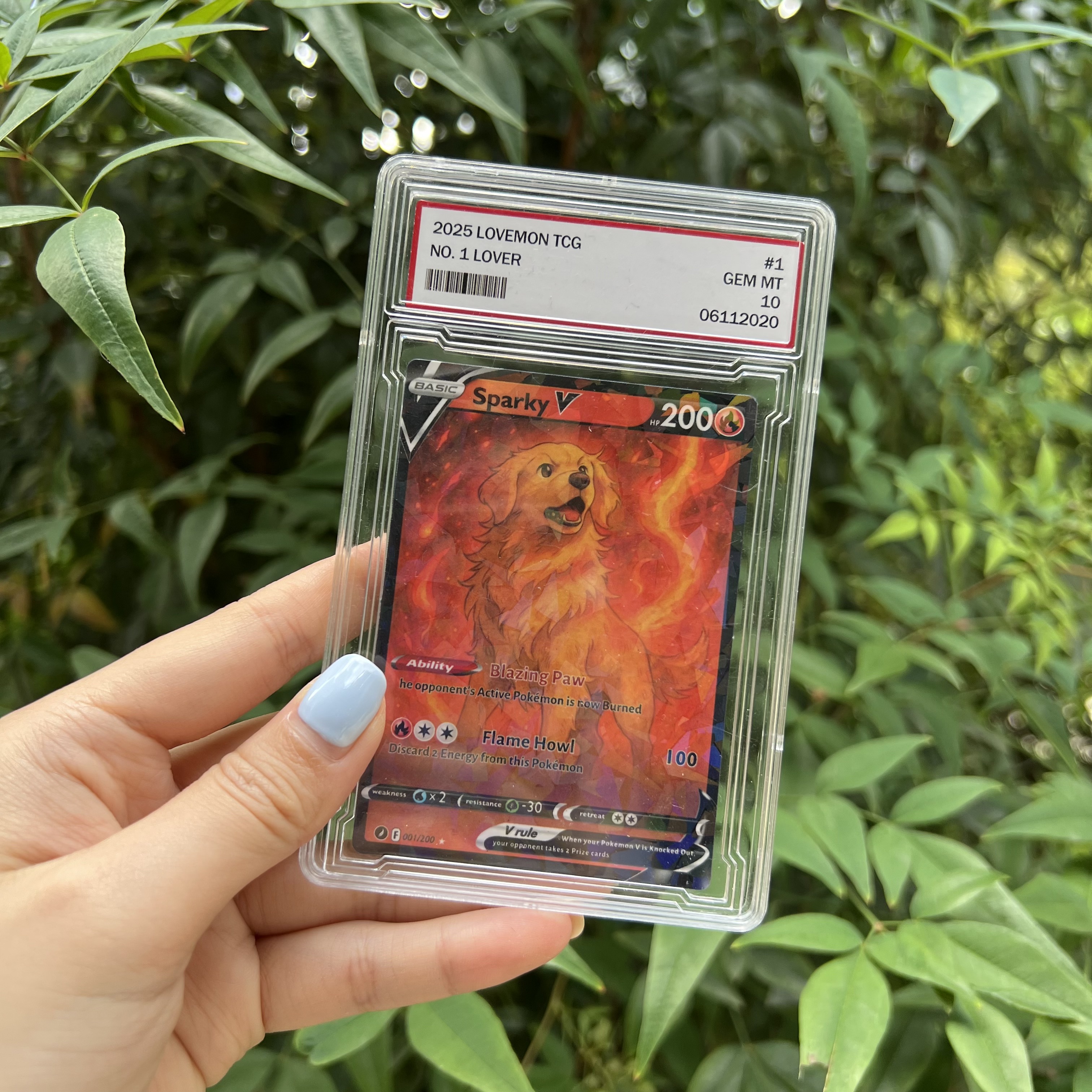 Custom Anime Pet Multiple Attributes Petmon V Card