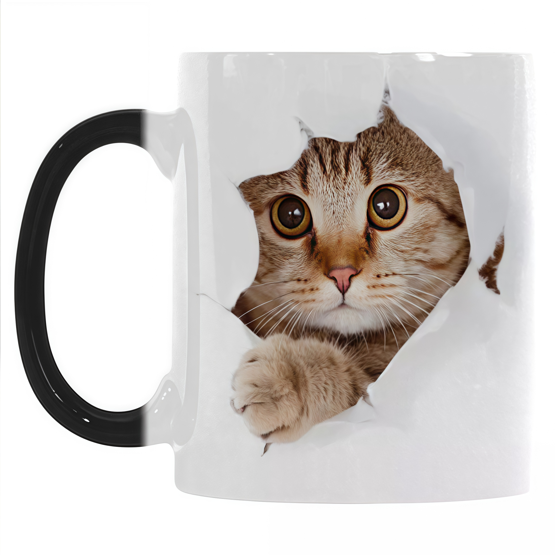 Magical Cat Heat - Changing Mug