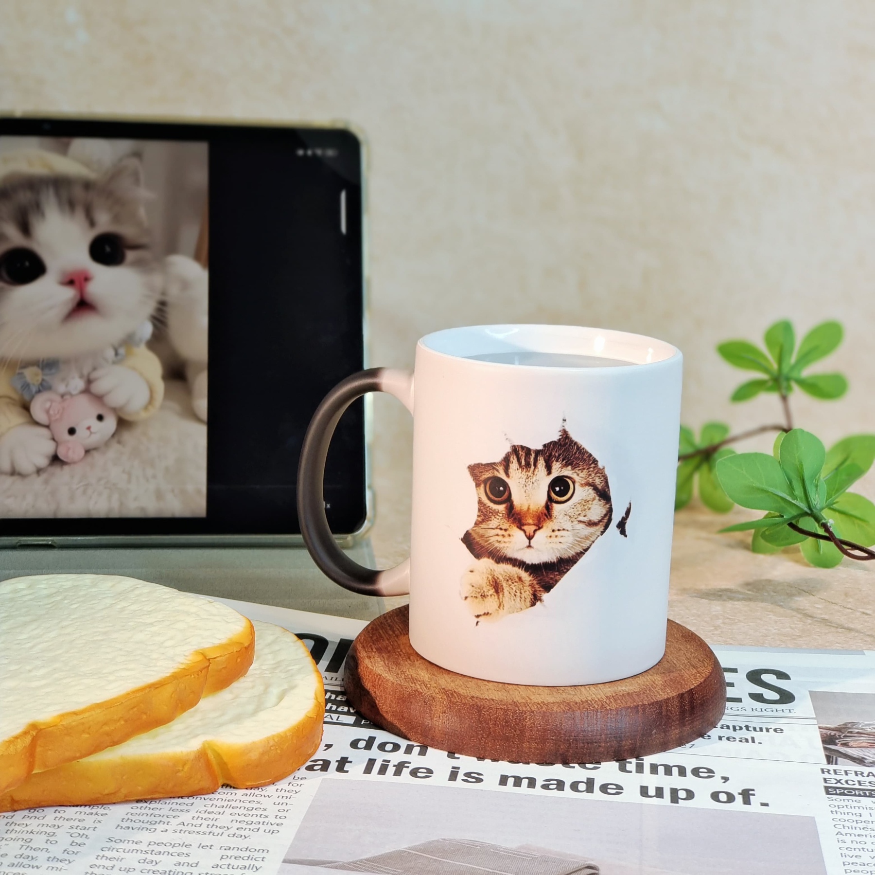 Magical Cat Heat - Changing Mug