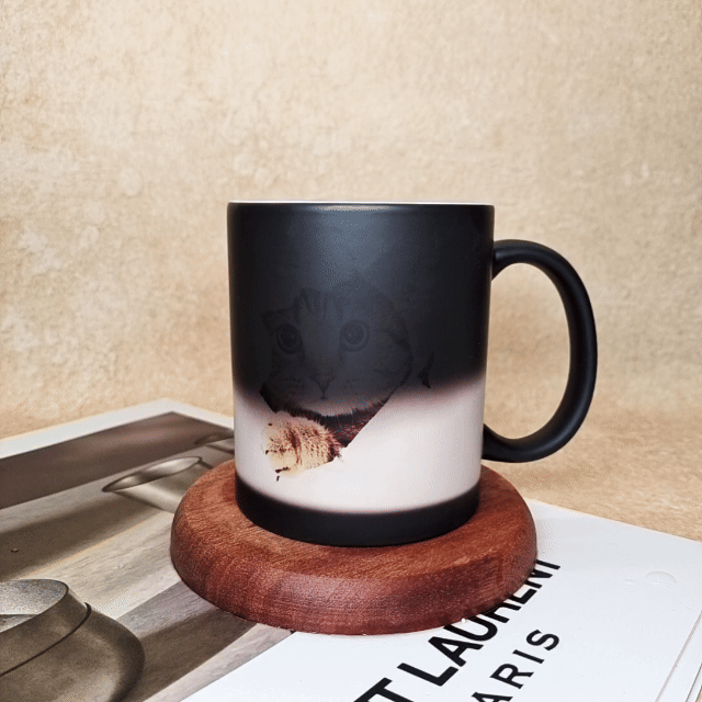 Magical Cat Heat - Changing Mug