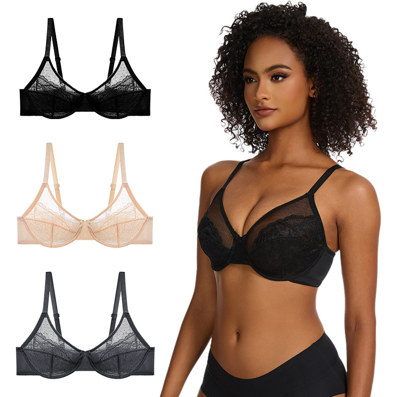 French Sheer Mesh Push-Up Underwire Bra