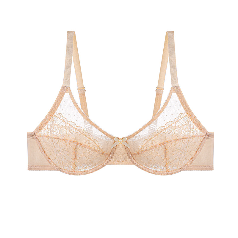 French Sheer Mesh Push-Up Underwire Bra