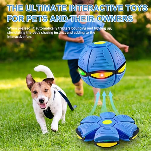 Interactive Transforming Dog Toy Ball