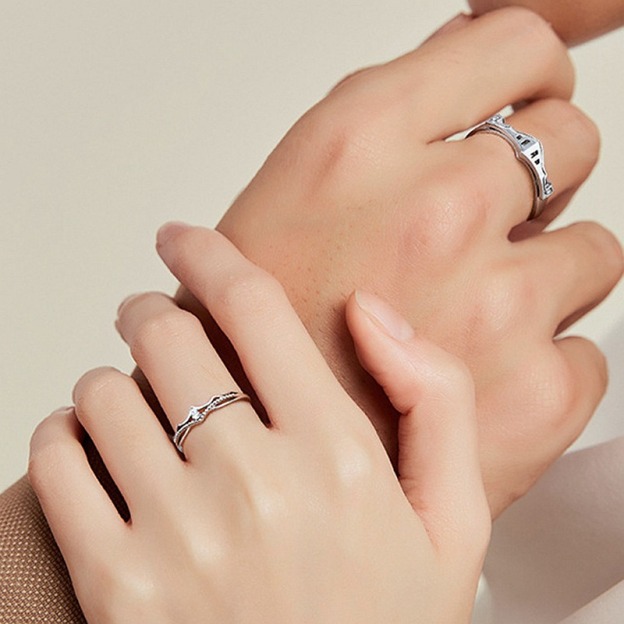 S925 Silver Princess & Knight Couple Rings - Partial Diamond-Studded Romantic Interactive Bands