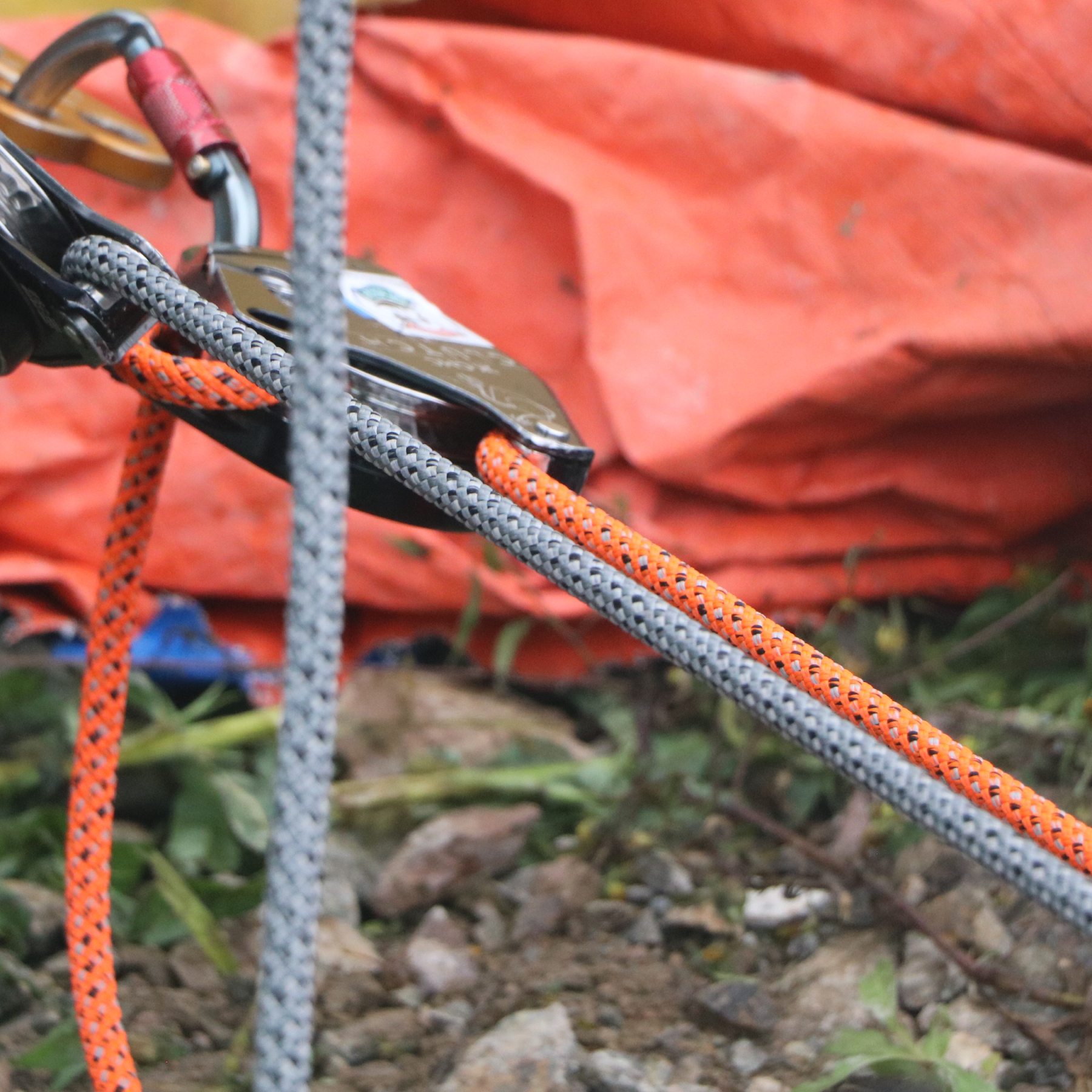 Xmonster_UNICORN II 10.5