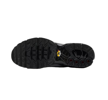 Nike Air Max Plus Tiempo Grey Black Silver