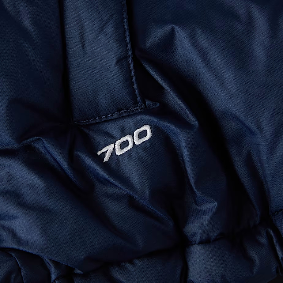 Gilet 1996 Retro Nuptse pour homme