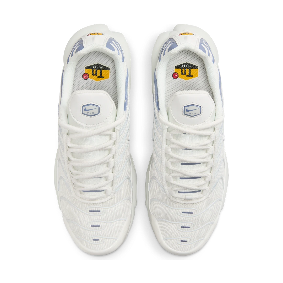 niqdfke Air Max Plus Ashen Slate