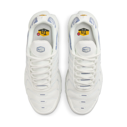 niqdfke Air Max Plus Ashen Slate