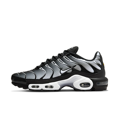 niqdfke Air Max Plus Black Silver White