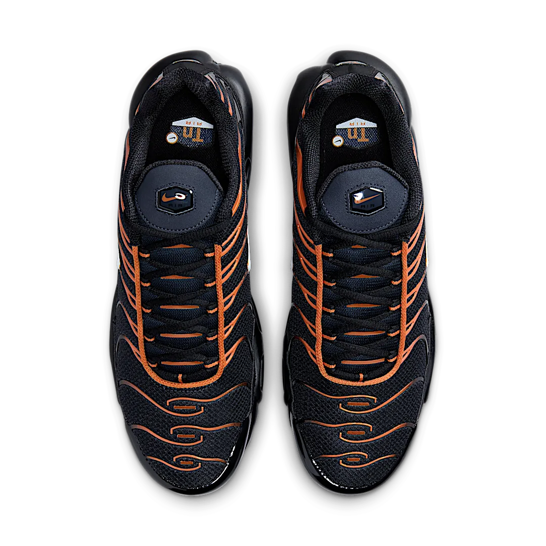 niqdfke Air Max Plus Dark Obsidian Monarch