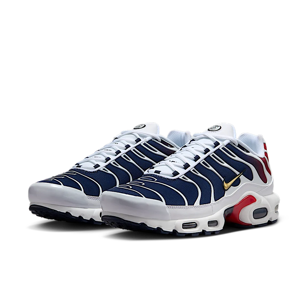 niqdfke Air Max Plus PSG