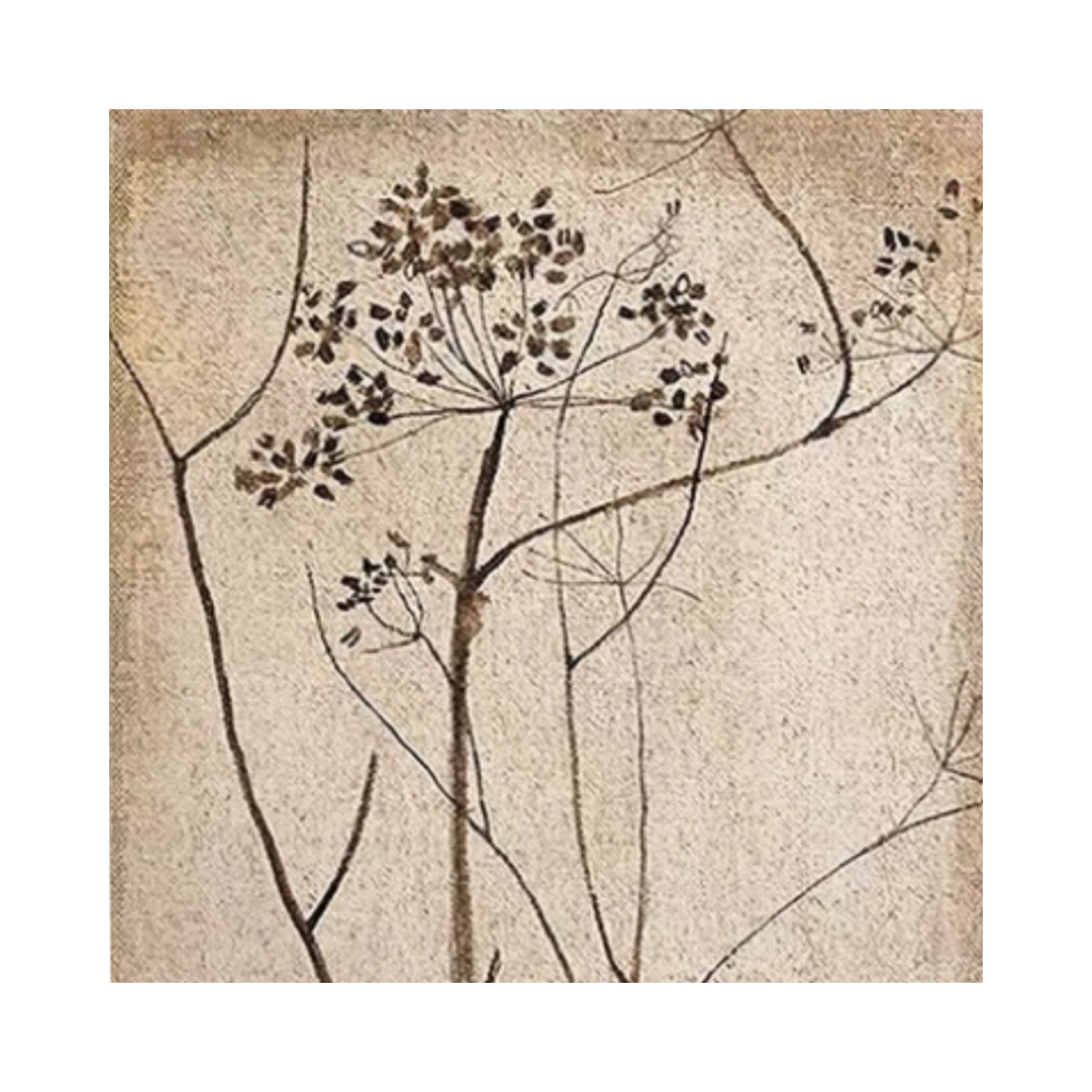 Wabi-Sabi Botanical Art #AR151B