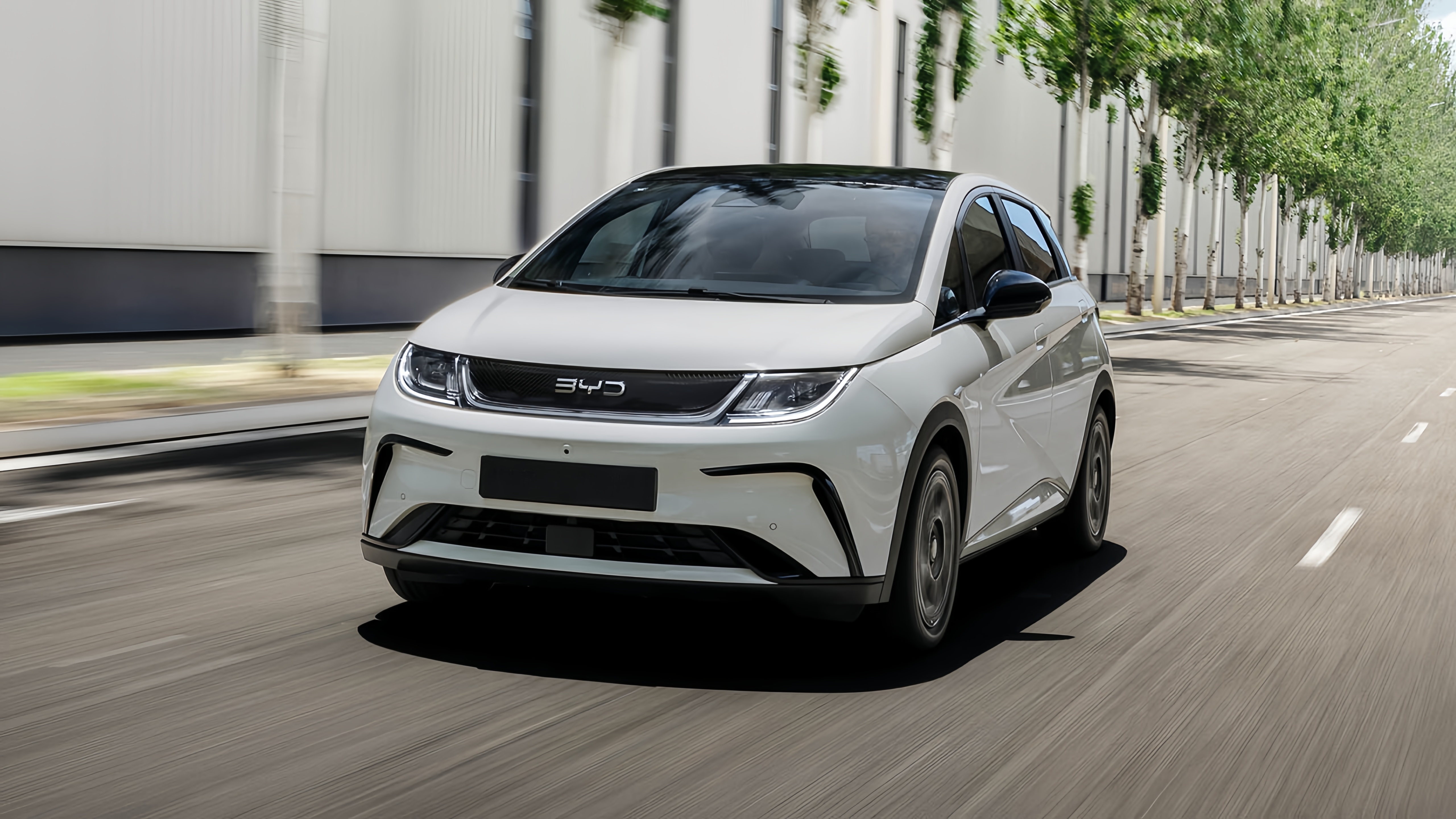 BYD DOLPHIN Accessories