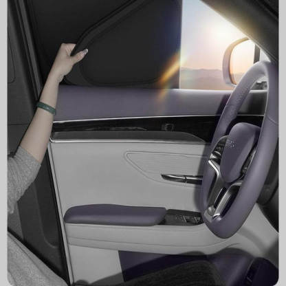 Sunshade Visor Curtain for BYD