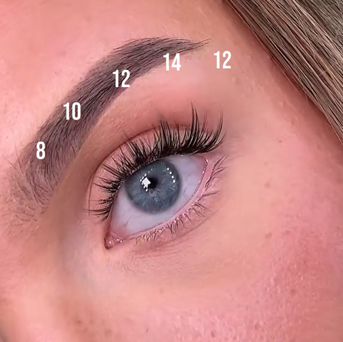 WILDROSE Lash Clsuters