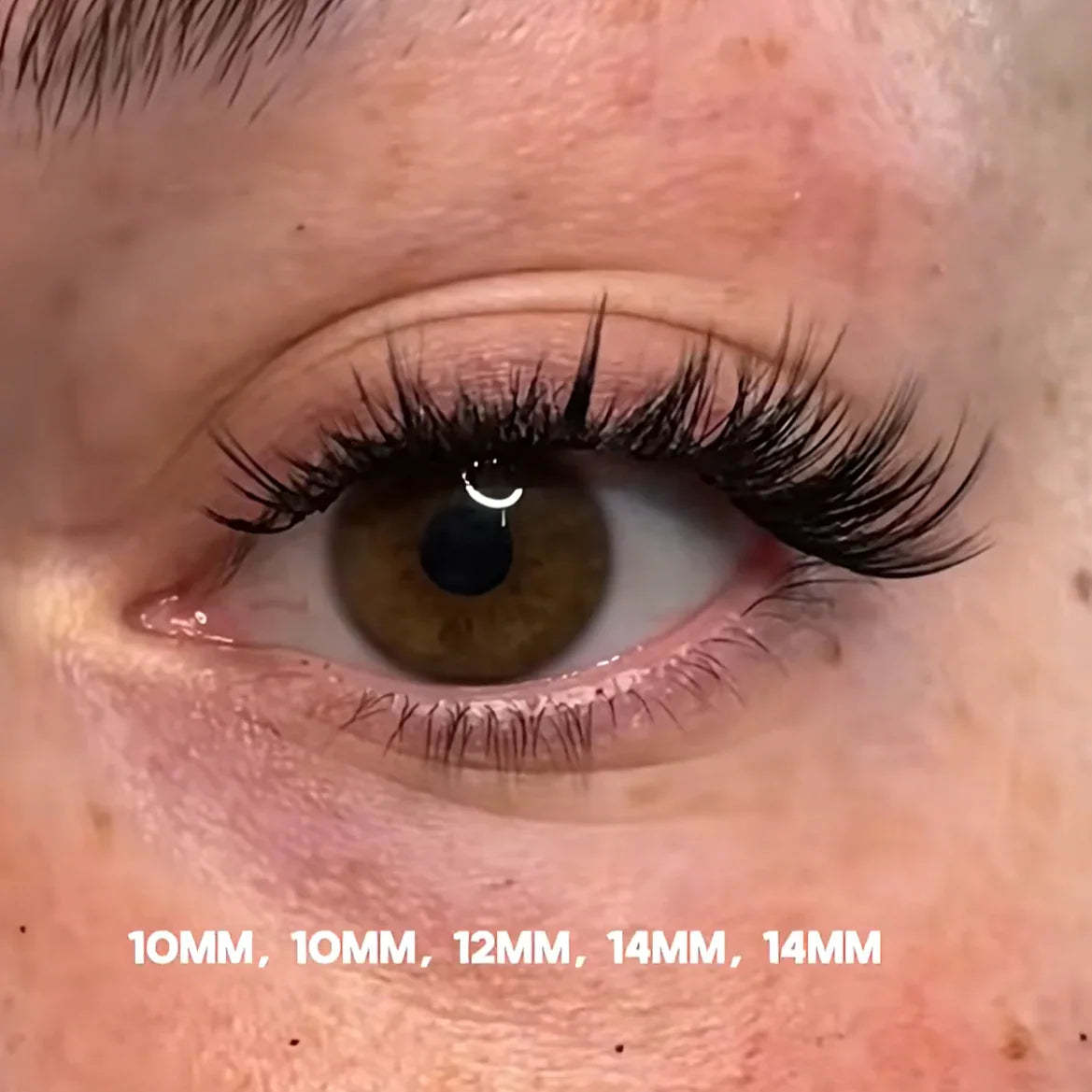 LAYZ Lash Clusters - MX - WOSHEER