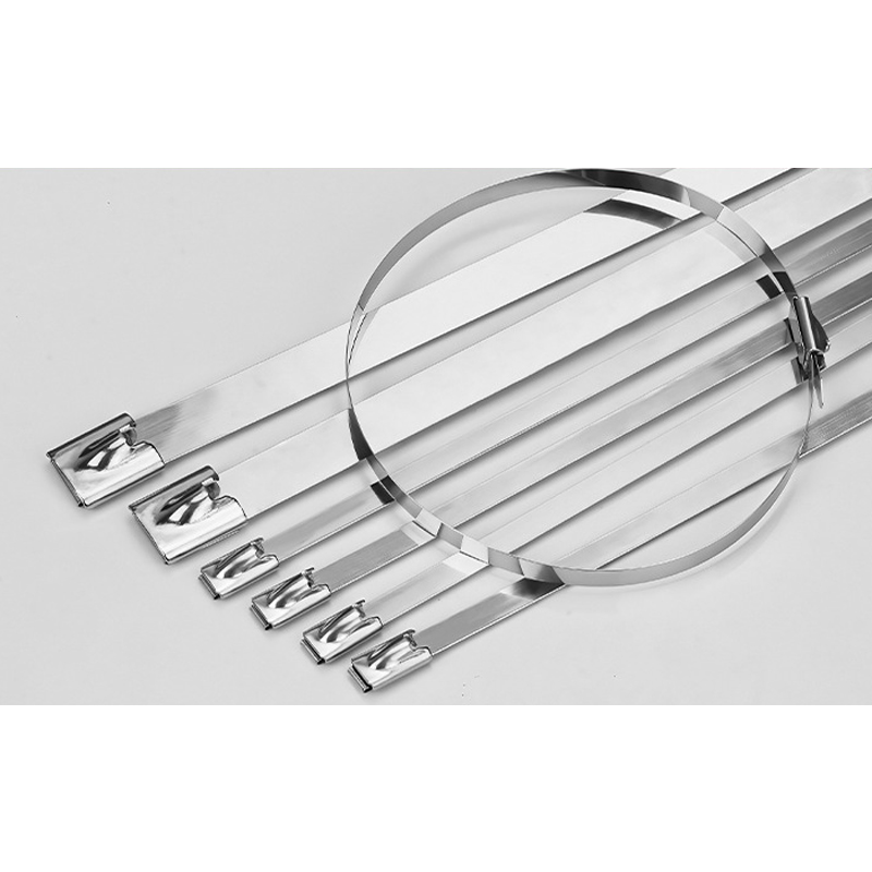 Premium 304 Stainless Steel Self-Locking Cable Ties – High-Temp & Corrosion Resistant, Marine-Grade Binding Straps (4.6/7.9mm Width, Multiple Lengths)