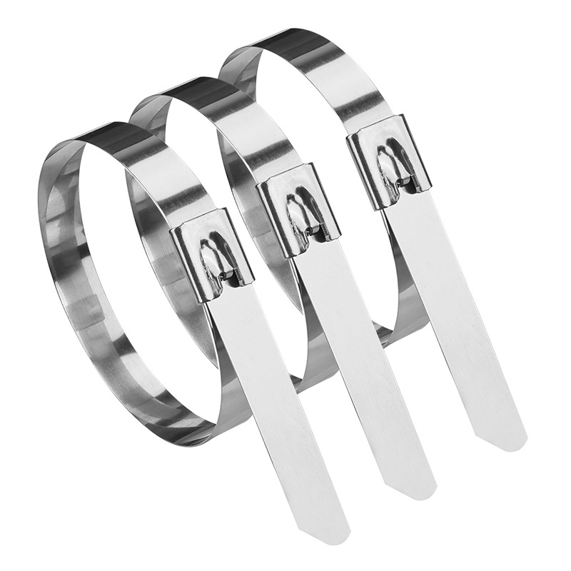 Premium 304 Stainless Steel Self-Locking Cable Ties – High-Temp & Corrosion Resistant, Marine-Grade Binding Straps (4.6/7.9mm Width, Multiple Lengths)