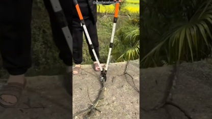 Leverage Pro Lopper - Heavy Duty Branch Cutter with SK5 Steel Blade, Non-Stick Coating & Anti-Slip Jaw Grip | Effortless Tree Pruning for Garden and Orchard