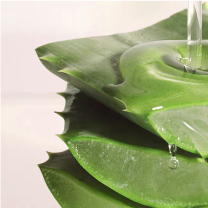 Antibacterial Intimate Laundry Detergent - 99.99% Germ & Dust Mite Removal, Enzyme & Soapberry for Baby & Maternal Underwear