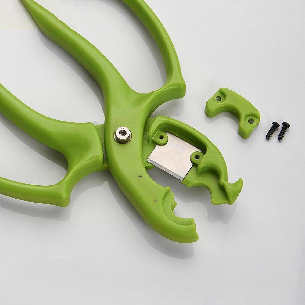 2-in-1 Floral Scissors & Thorn Stripper - Replaceable Blades Professional Rose Pruner, Flower Arranging Tool for Florists