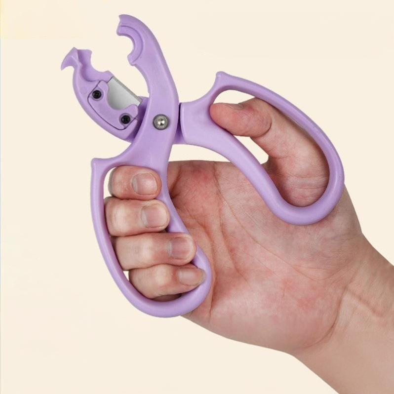 2-in-1 Floral Scissors & Thorn Stripper - Replaceable Blades Professional Rose Pruner, Flower Arranging Tool for Florists